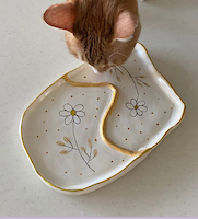 هرطرحی که شما بخواین